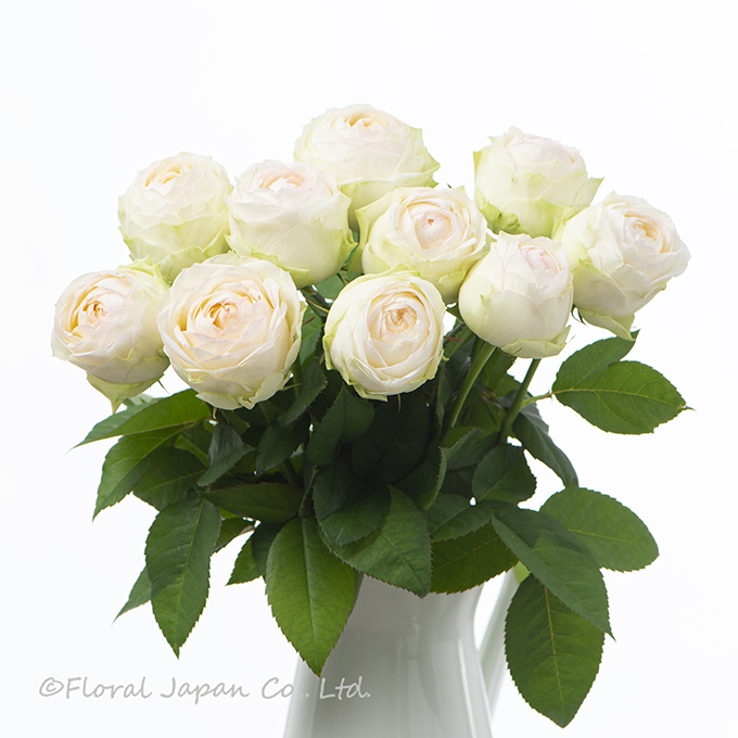 アルヌワブラン