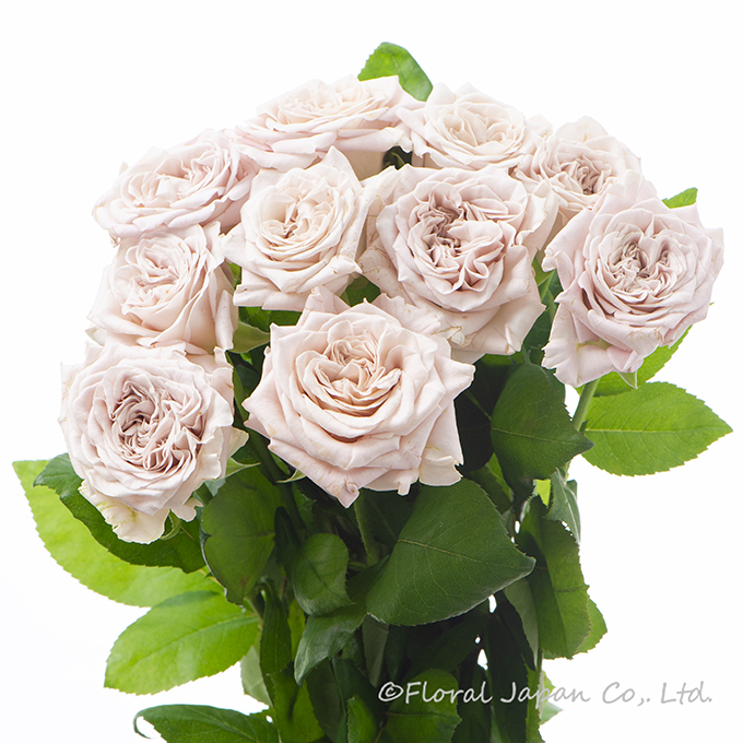 ウェストミンスターアビー