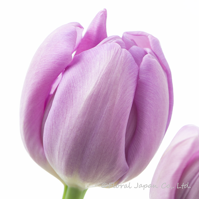 キックスタート