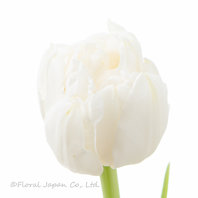 ノースキャップ