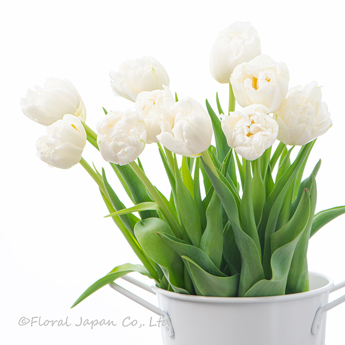 ノースキャップ