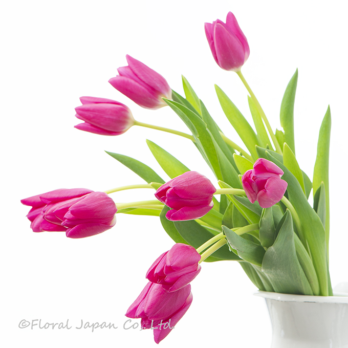 ピンクアジュール